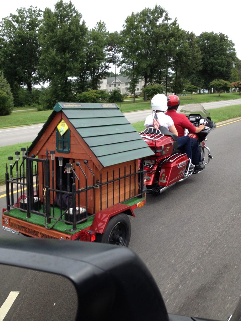 Pet Bicycle Trailer Australia