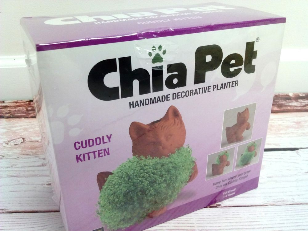 How To Grow The Best Chia Pet Petspare