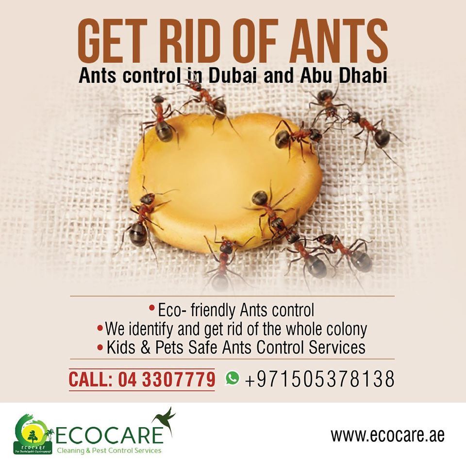 Pet Friendly Pest Control Dubai