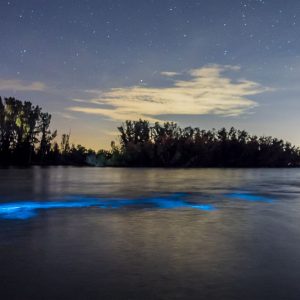 Night Kayaking St Pete Beach