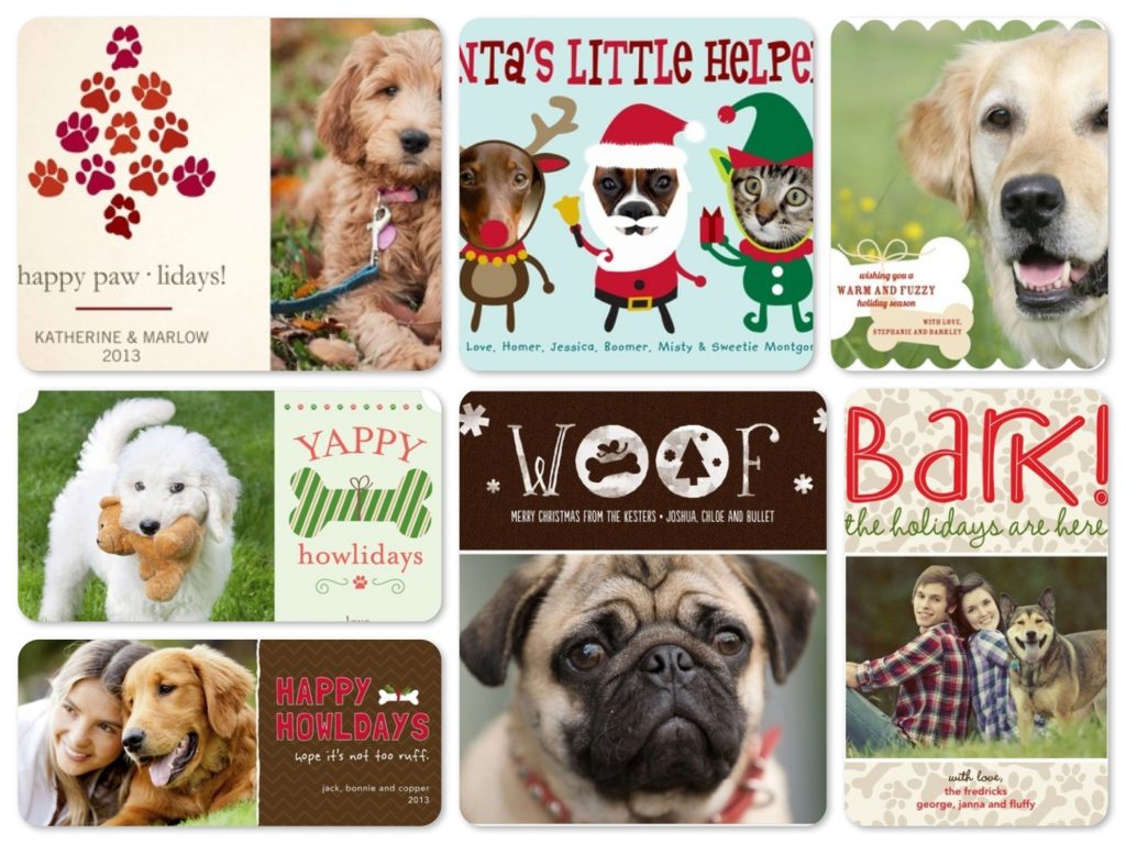 Pet Photo Christmas Cards