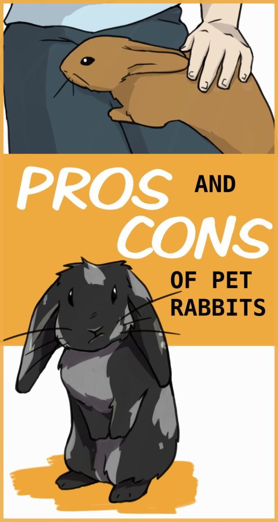 Pros And Cons Of Having Rabbits As Pets