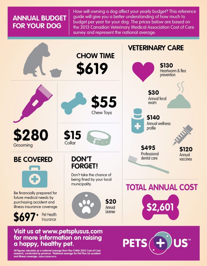 Pet Insurance Maryland Cost