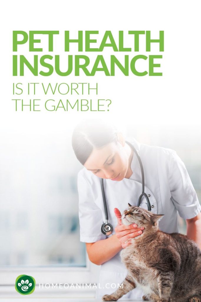 Pet Insurance Mn Cost