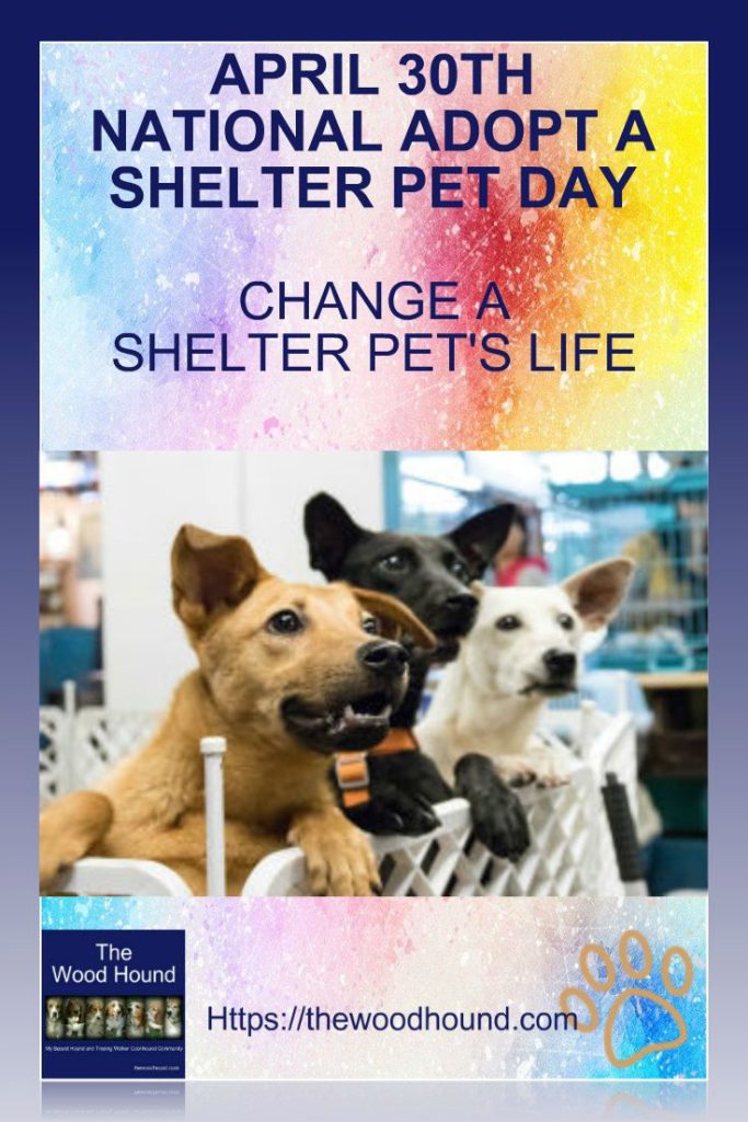 National Adopt A Shelter Pet Day 2021 Images