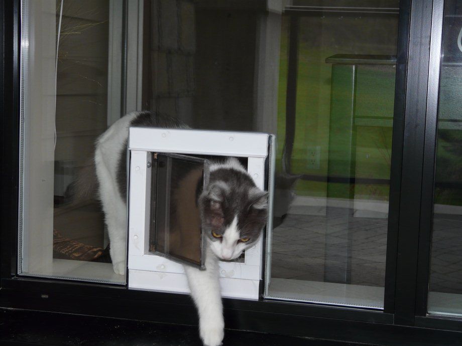 Sliding Glass Pet Door Canada