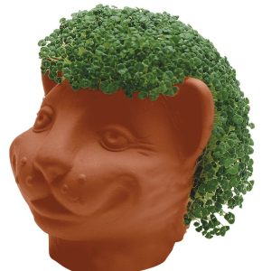 Chia Pet Walmart.ca