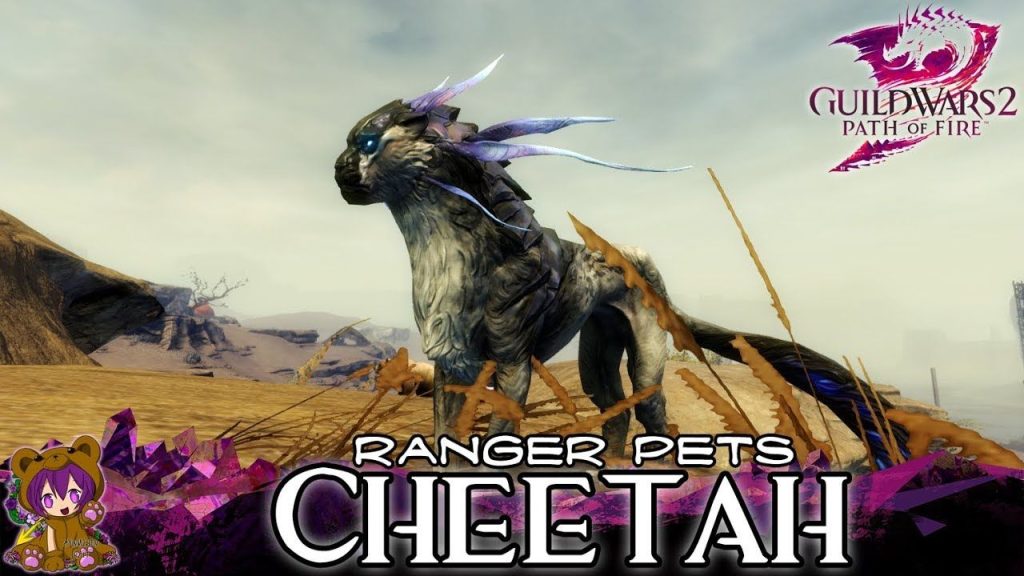 Gw2 Ranger Pets Stats