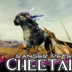 Gw2 Ranger Pets Stats