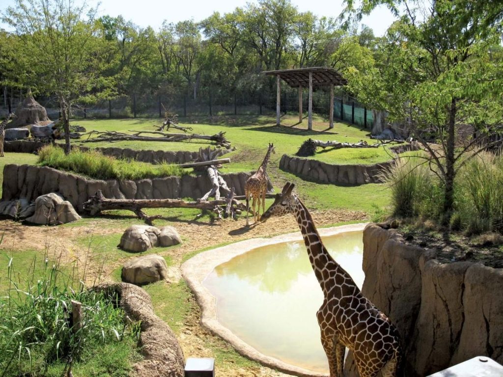 Petting Zoo Dallas Fort Worth