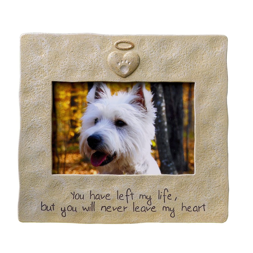 Pet Memorial Frames Amazon