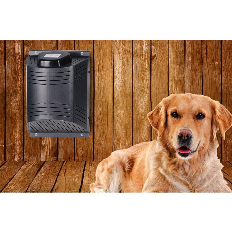 Best Outdoor Pet Heater