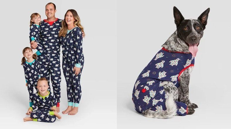 Matching Dog And Owner Clothes Christmas