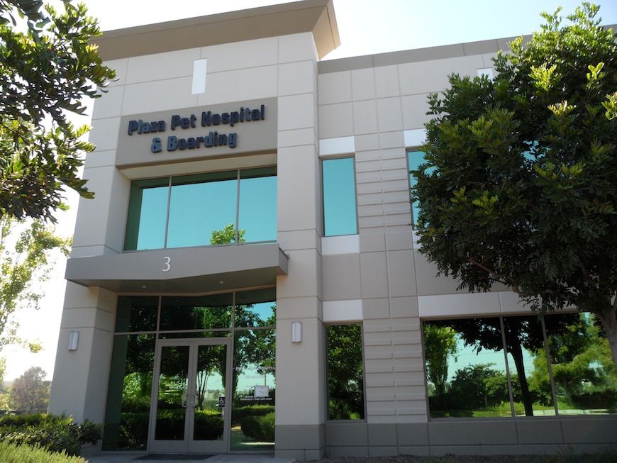 Rancho Regional Pet Hospital