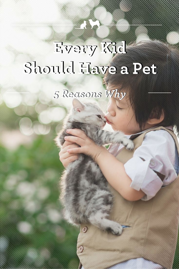 Should Every Home Have A Pet post thumbnail image