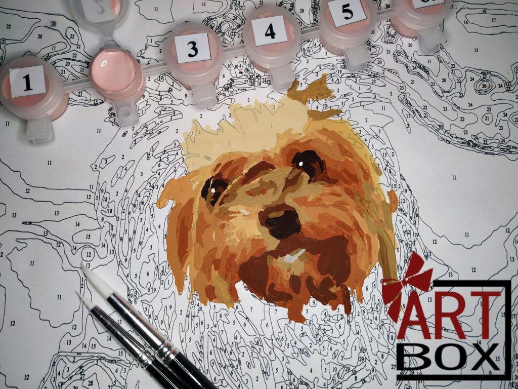 Personalised Pet Paint By Numbers Uk