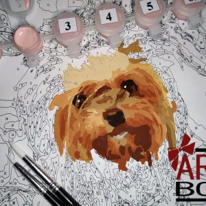 Personalised Pet Paint By Numbers Uk