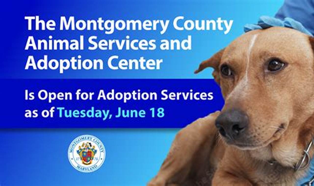 montgomery county animal services and adoption center news