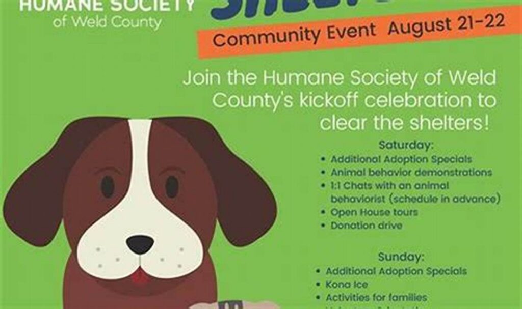 humane society of weld county adoption