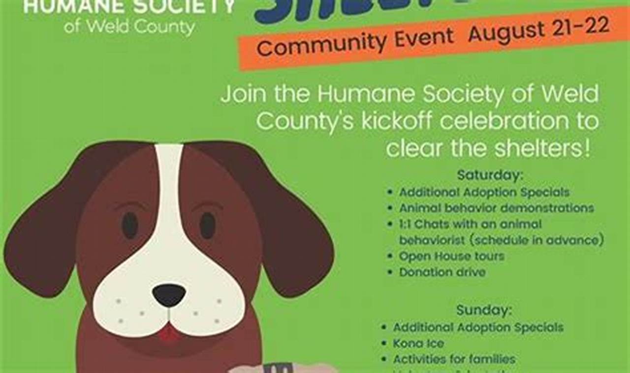 humane society of weld county adoption