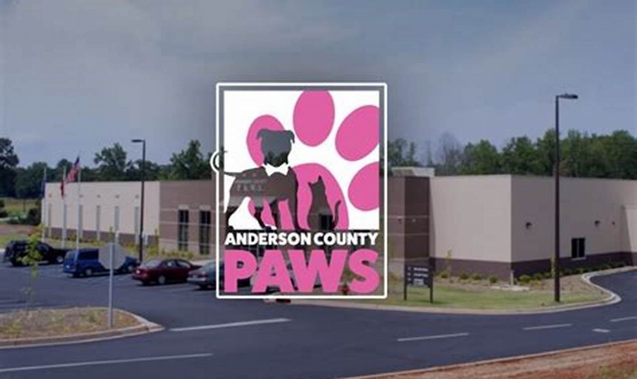 paws anderson adoption