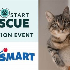 petsmart adoption days