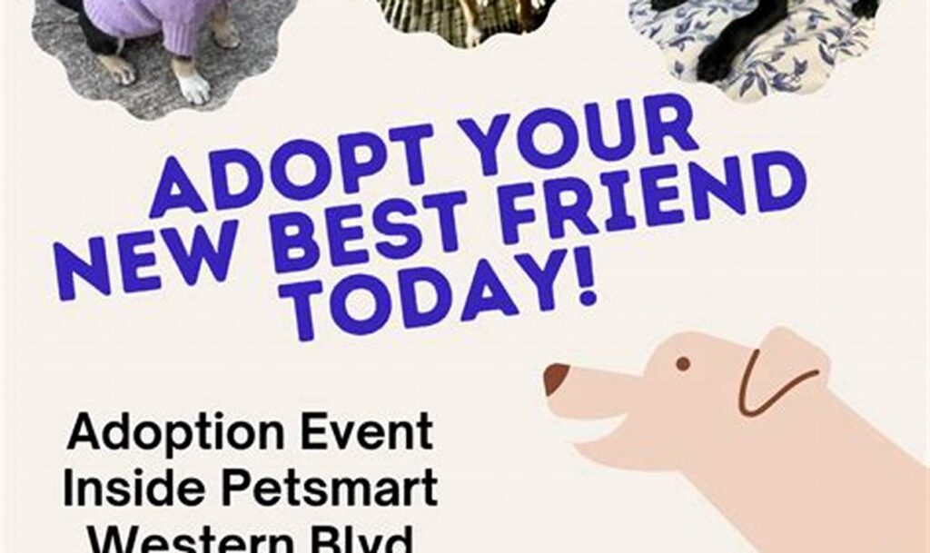 adoption first animal rescue