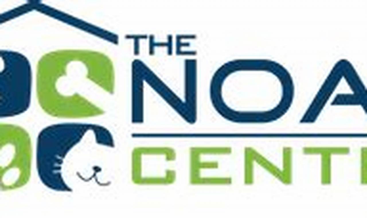 the noah center adoption