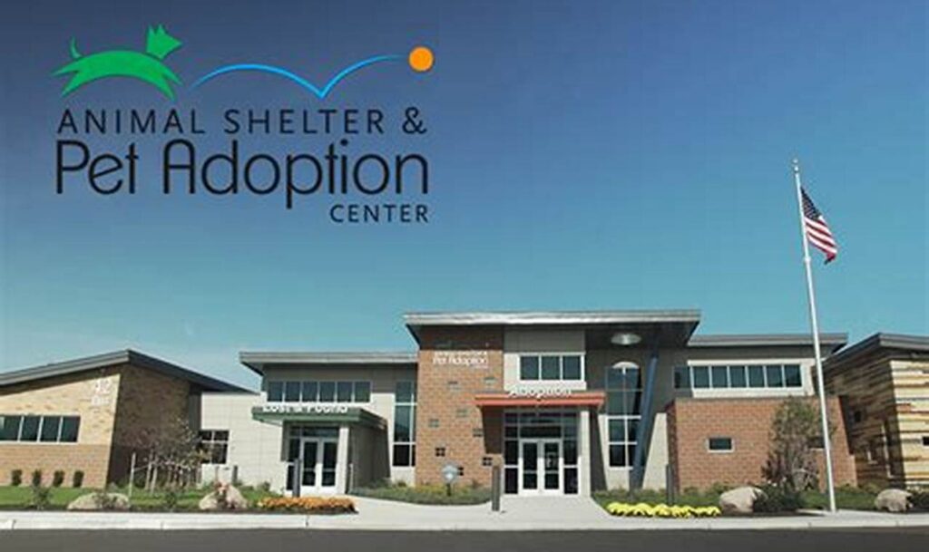 oakland county animal shelter and pet adoption center