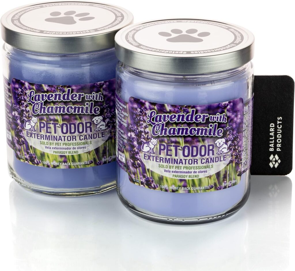 81YBWiftJVL. AC SL1500