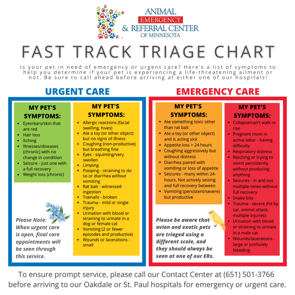 How Much Is Urgent Care For Dogs How Much Is Urgent Care For Dogs