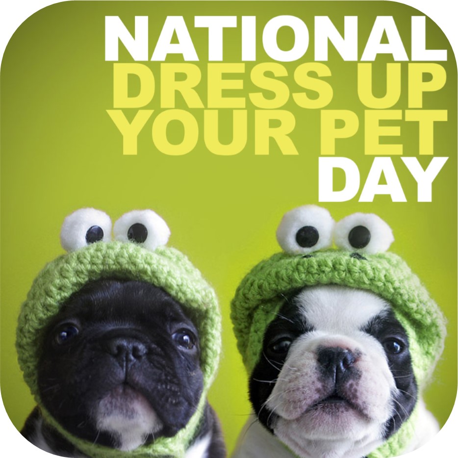 National Dress Up Your Pet Day Meme National Dress Up Your Pet Day Meme