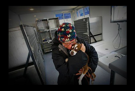homeless shelters that allow pets homeless shelters that allow pets