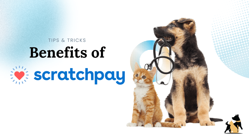 scratchpay for pets scratchpay for pets