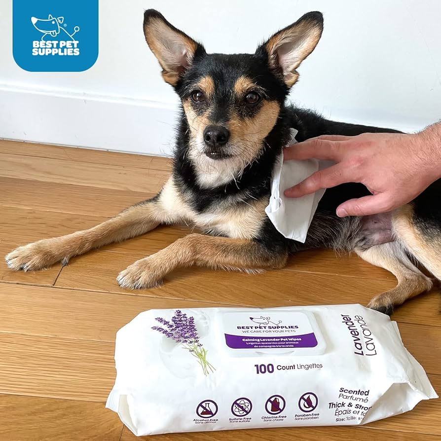 wipes pet wipes pet