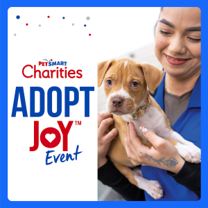 petsmart pet adoption events