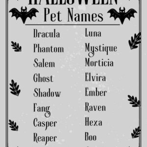 cute spooky pet names