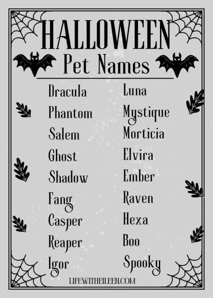 cute spooky pet names