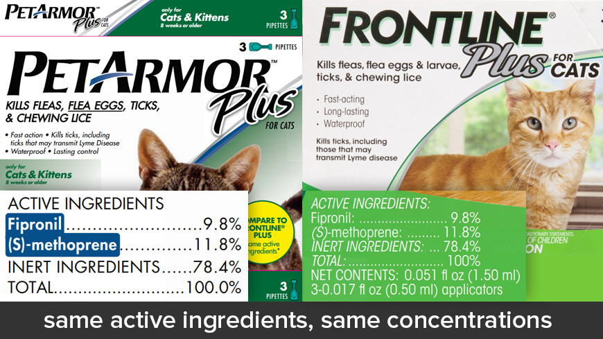 pet armor vs frontline cats