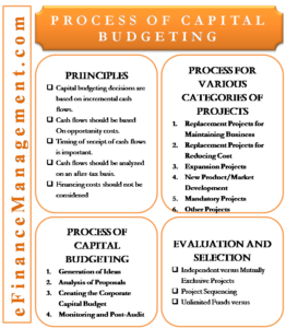 pet project meaning in finance