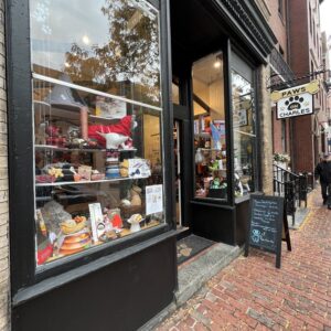 puppy pet stores in massachusetts