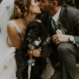 pawfect moments capturing the love with black dog wedding photography 1