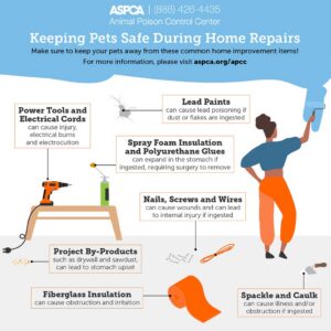 7 signs you need spare parts for your pets equipment asap 1