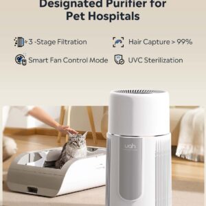 air purifier maintenance for pet owners cleaning and filter care