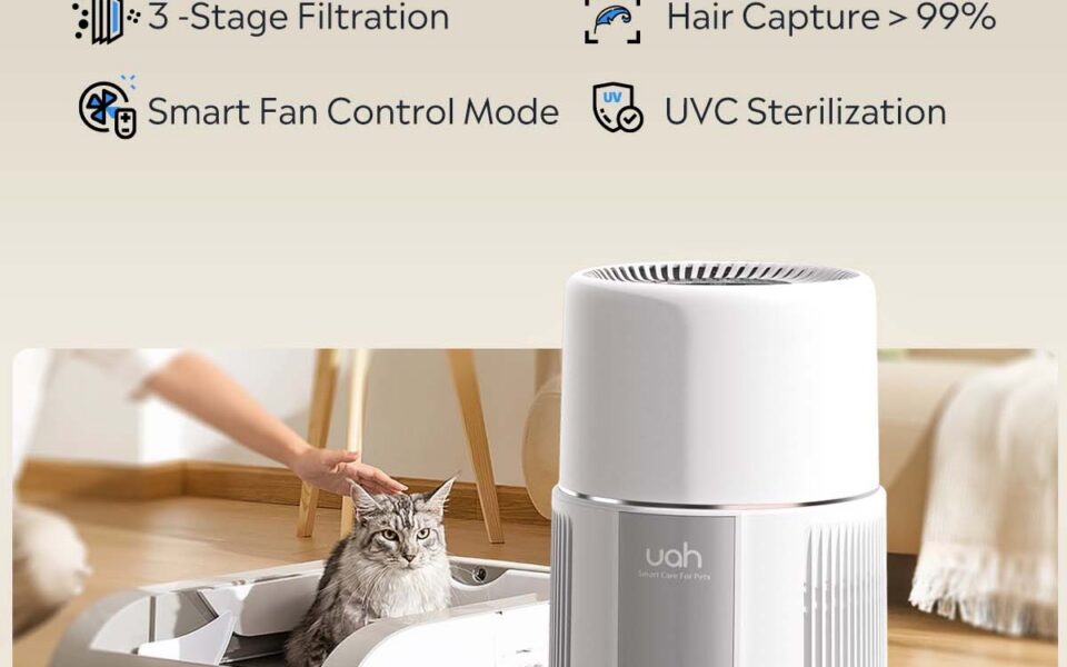 air purifier maintenance for pet owners cleaning and filter care