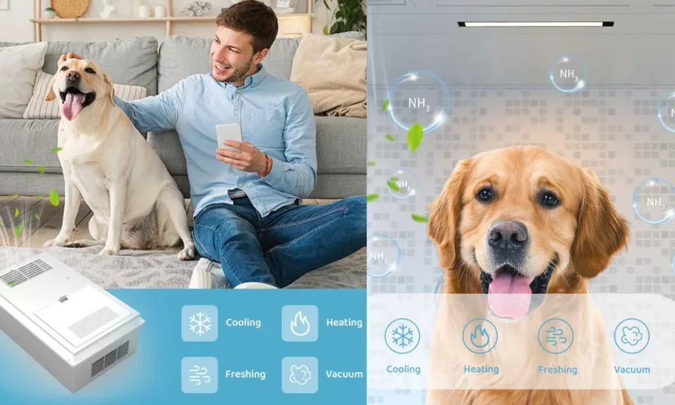 can air purifiers help with pet shedding