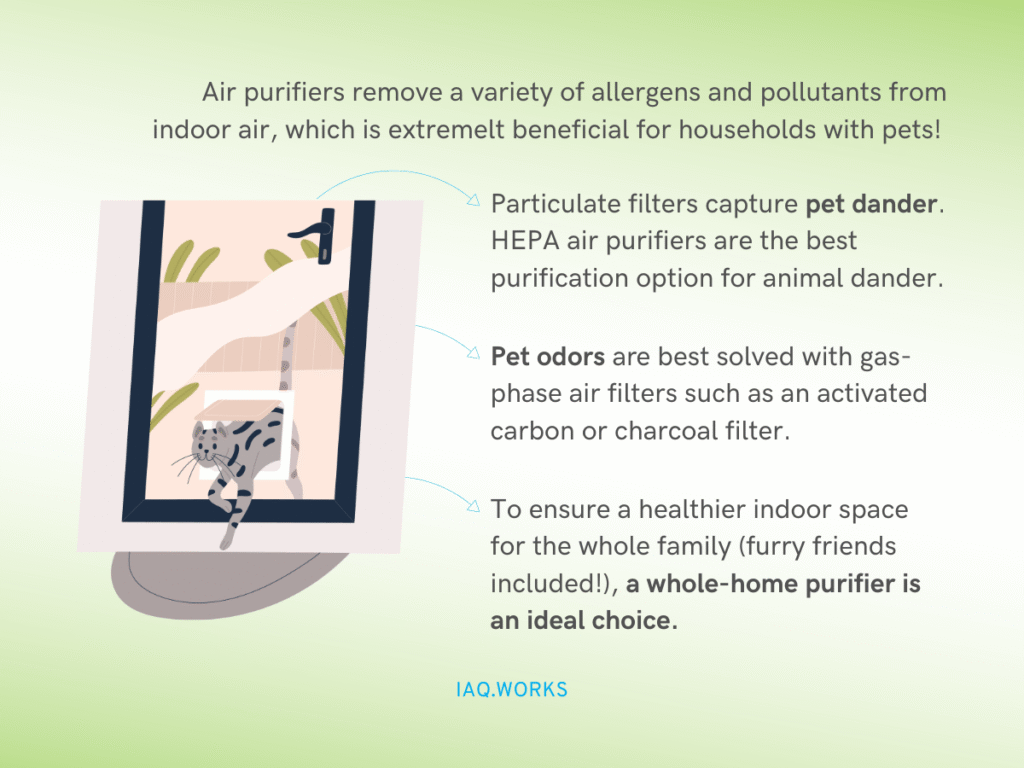 do air purifiers help with pet allergies what you can and cant expect