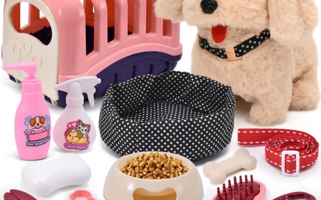 10 Fun and Safe Pet Accessories for Kids They'll Love 11 10 fun and safe pet accessories for kids theyll love 1
