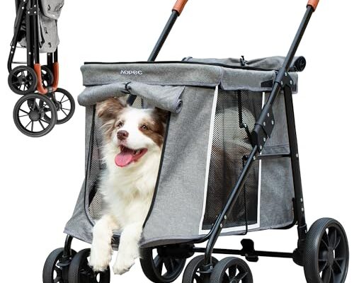 Best Dog Stroller for Senior Dogs: 2024 Top Picks & Reviews 14 best dog stroller for senior dogs 2024 top picks reviews