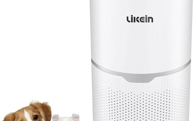 Best Pet Air Filters to Remove Dander, Hair, and Odors at Home 12 best pet air filters to remove dander hair and odors at home 1